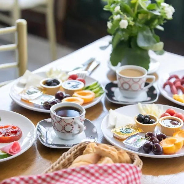 EPHESUS CENTRUM, hotel in Selçuk