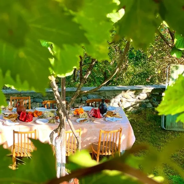 Mountain Home Inn-Guesthouse, hotel in Lagodekhi