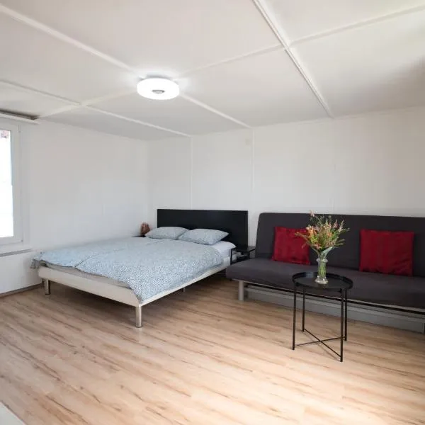 Lake Getaway Apartment with Private entrance, right on the Lake Constance cycle path, barbecue area, free wifi, Netflix and free bikes, hotel v destinaci Salmsach