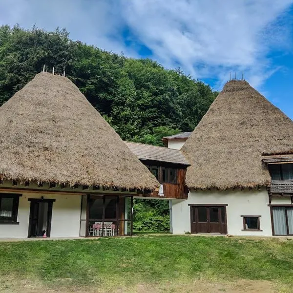 Casa Catrinei, khách sạn ở Văleni