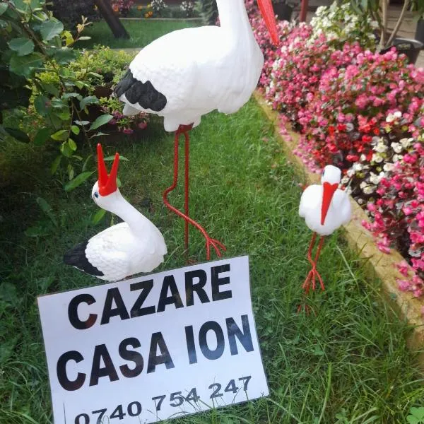 Casa Ion, hotel v destinaci Horezu