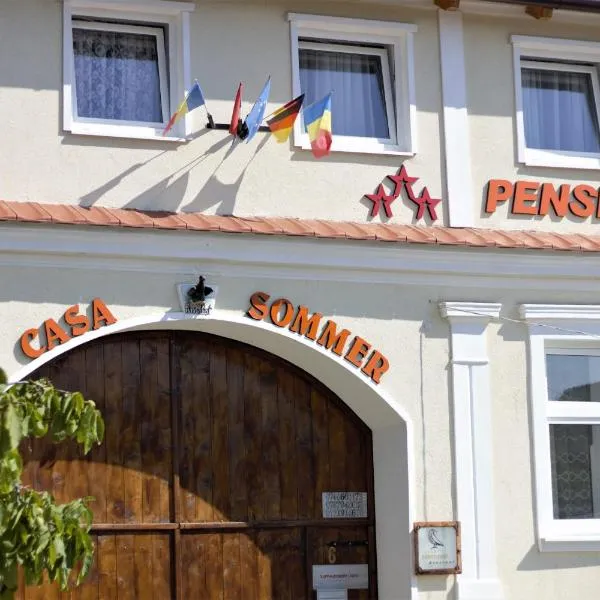 Viesnīca Casa Sommer pilsētā Petreşti