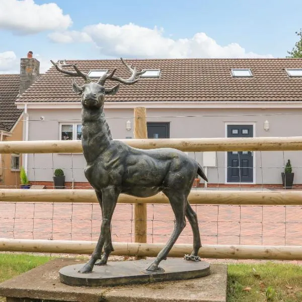 Sawtons Cottage 1, hotel in Dawlish