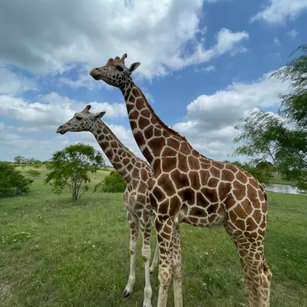 Blue Hills Ranch, hotel a McGregor