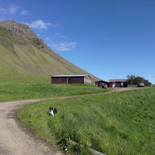 Rauðsdalur, hotel en Birkimelur 