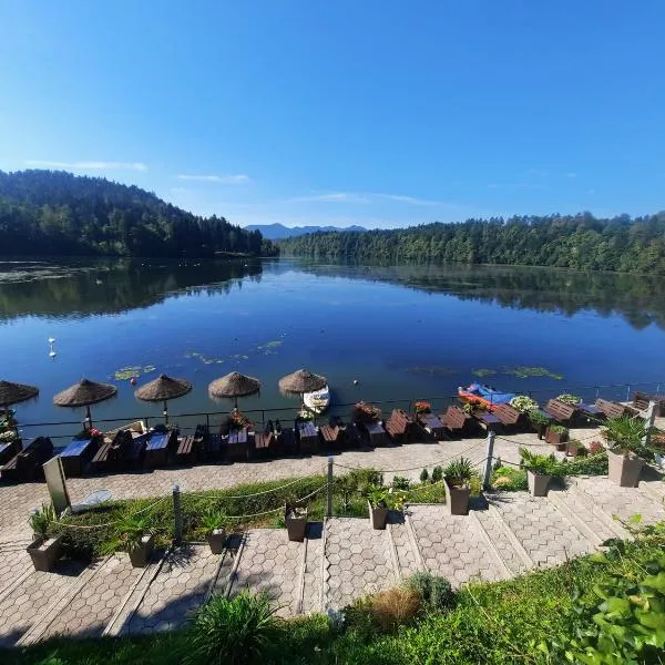 Gostisce Jezero: Medvode şehrinde bir otel