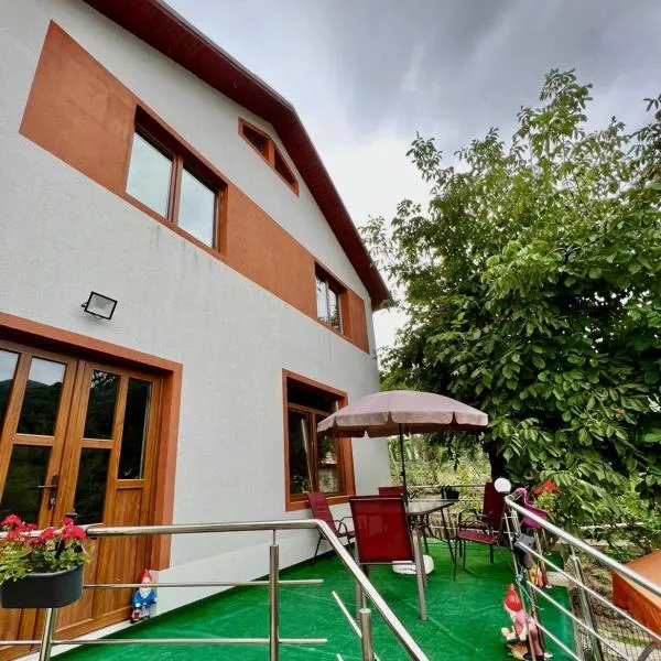 Casa Camelia, hotel in Piatra Corbului