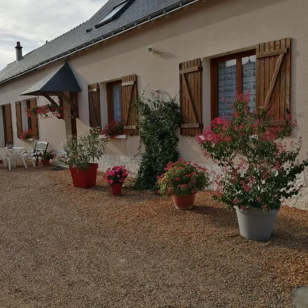 Gîte de la Casse, hotel in Château-la-Vallière