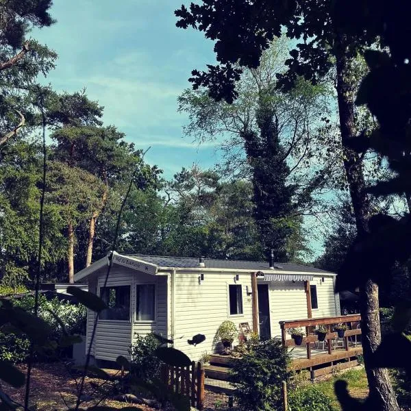 Knus chalet midden in de bossen, hotel v destinaci Nunspeet