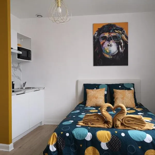 STUDIO COSY- CHALEUREUX- QUARTIER CALME- Wifi, ξενοδοχείο σε Saint-Quentin