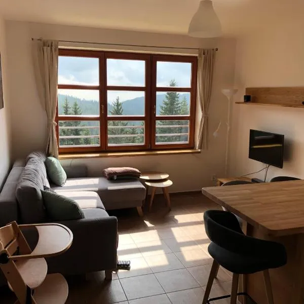 Cihlarka 301, hotel v Černém Dole