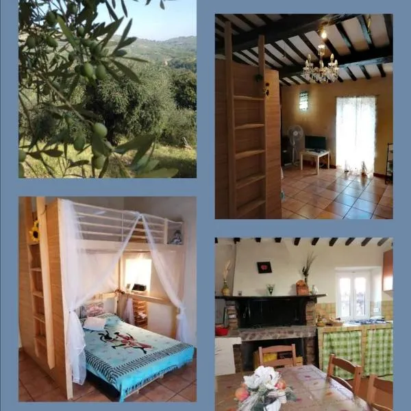 Casa di Olly - Loft incantevole con camino, hotel u gradu 'Poggio Nativo'