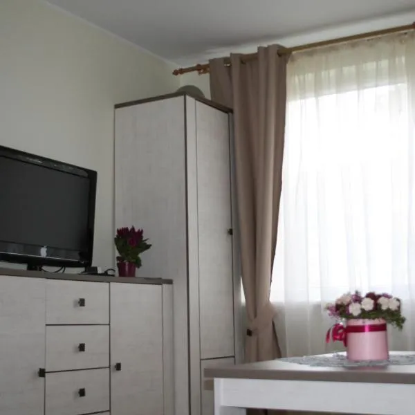 Cosy one room apartment, hotel in Vilnius