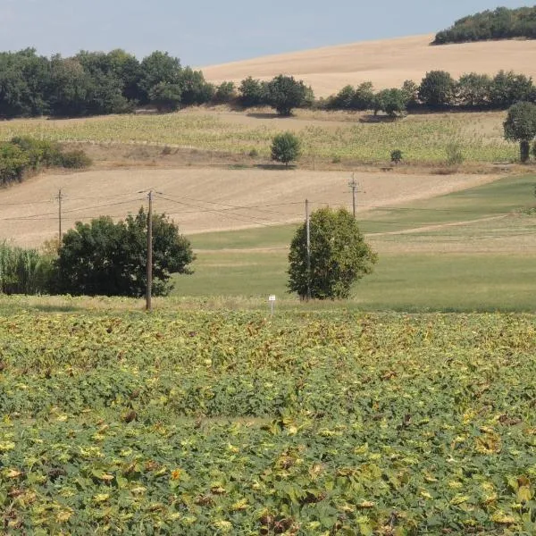 Les treilles d'en Peyre, hotel en Auriac-sur-Vendinelle