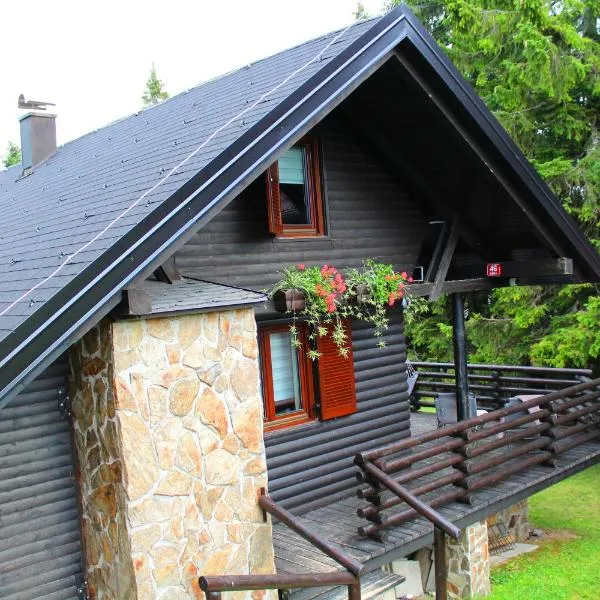 Apartment Bajta - Rogla, hotel in Zreče