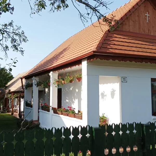 Guesthouse Tulipán Vendégház, hotel vo Veľkom Krtíši