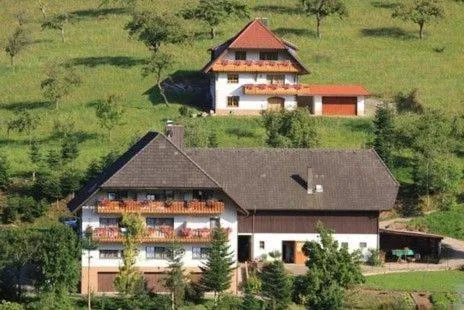 Kempfenhof, hotel v destinaci Oberharmersbach