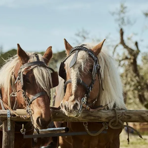 Agriturismo Gli Archi، فندق في Fauglia