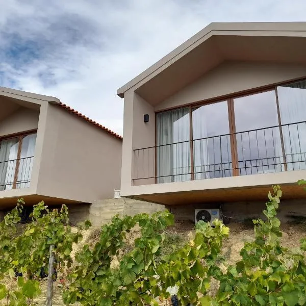 Quinta Manhas Douro, hotel in Provesende