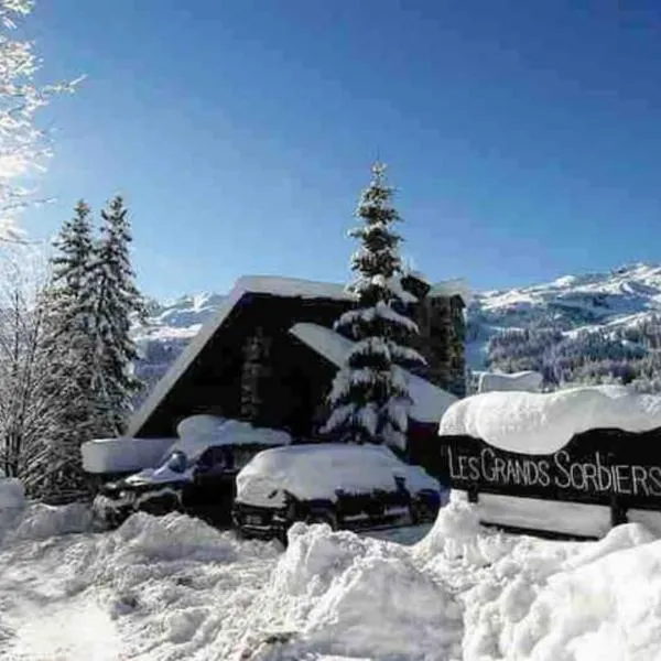 Les GRANDS SORBIERS à Méribel - Charmant studio situé à 2 pas des pistes & du centre de Méribel, hotel v destinácii Les Allues