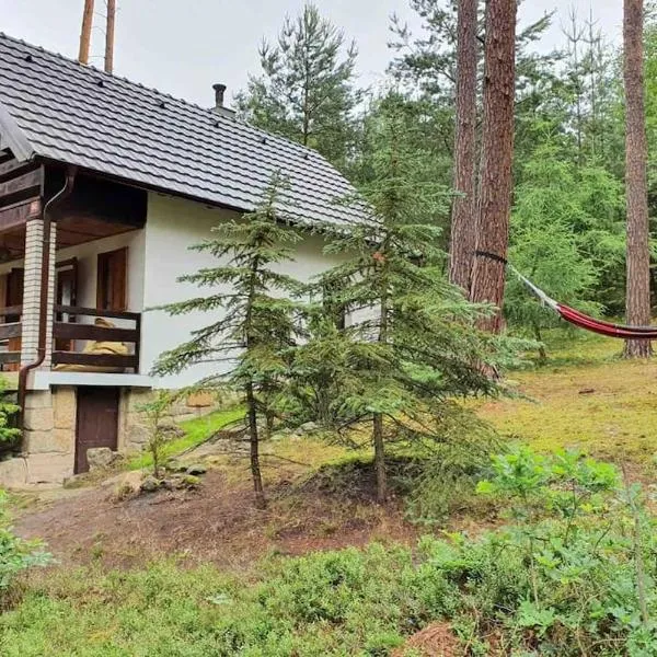 Chata u Tobíka, hotel a Blíževedly