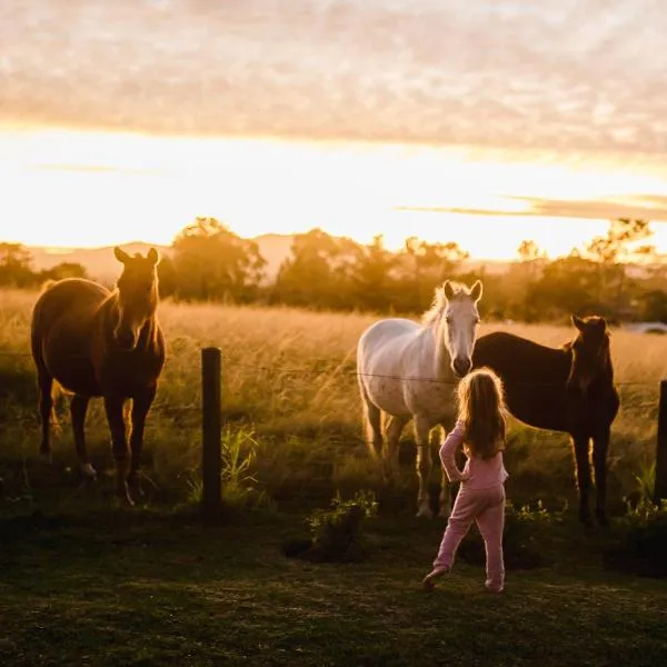 Fernhill Guest Farm, hotel in Knysna