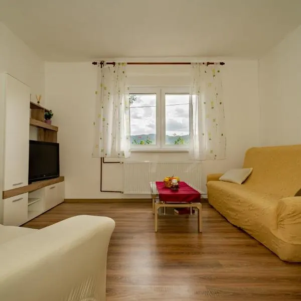 APARTMAN GRADINA, отель в городе Gomirje