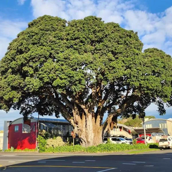 Landmark Manor, hotel in New Plymouth