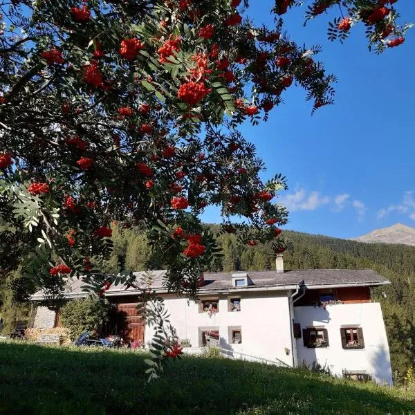 Fuldera Daint chasa Zanoli Whg im zweiten Stock, hotel v destinaci Fuldera