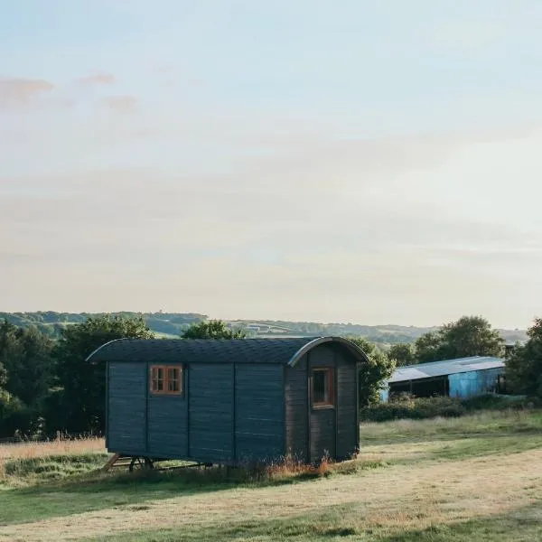 Stunning Shepherd's Hut Retreat North Devon, hotel in Woolfardisworthy