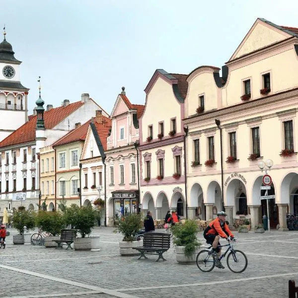 Hotel Zlatá hvězda, hotel en Štěpánovice