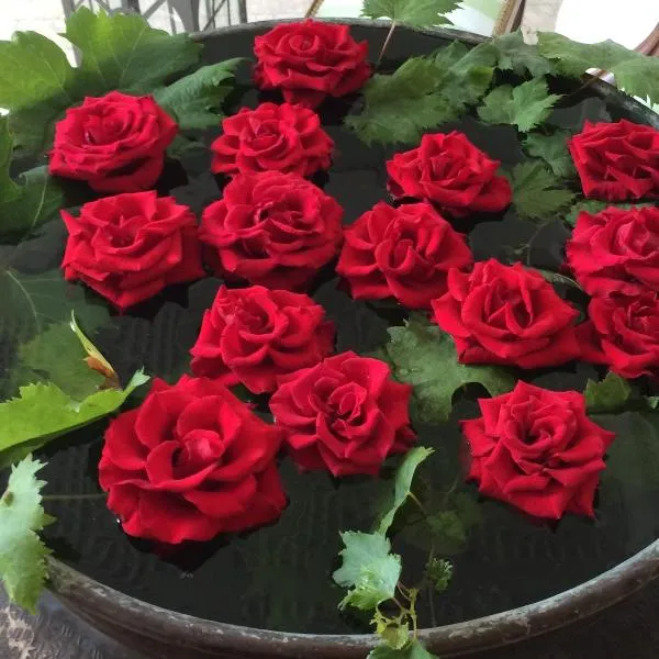 Eveline 2 - Piscina Privata o Jacuzzi, hotel en San Remo