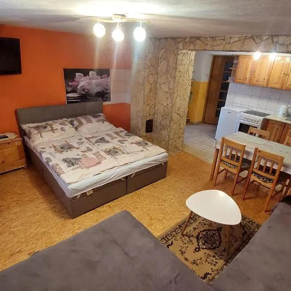 Privat 498, hotel in Ižipovce