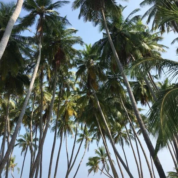 Gaskara Guesthouse, hotel v destinaci Shaviyani Atoll