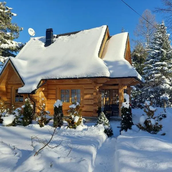 BIAŁY PUCH、ザコパネのホテル