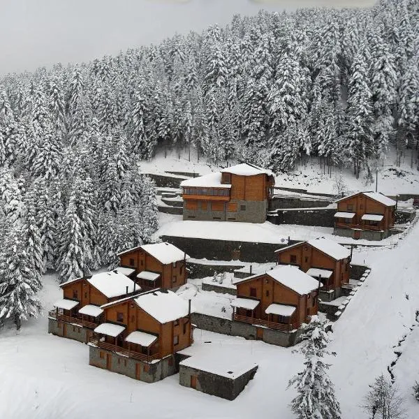 Xilino Horio, hotel in Chrysomiléa