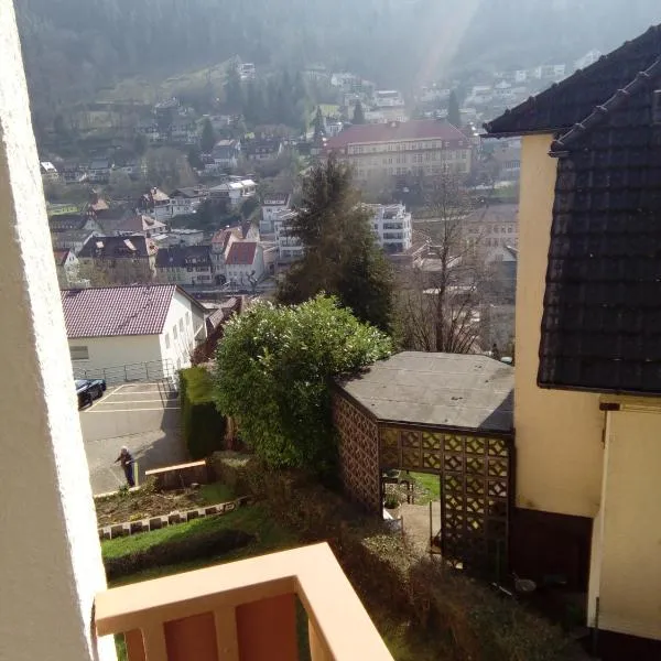 Stadtblick, hotel v destinaci Bad Wildbad