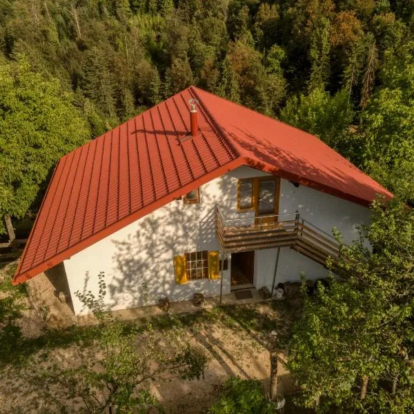 Miklavž pri Taboru에 위치한 호텔 Cottage surrounded by forests - The Sunny Hill
