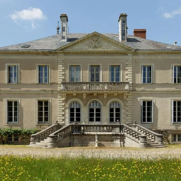 Chateau du Hallay，Les Brouzils的飯店