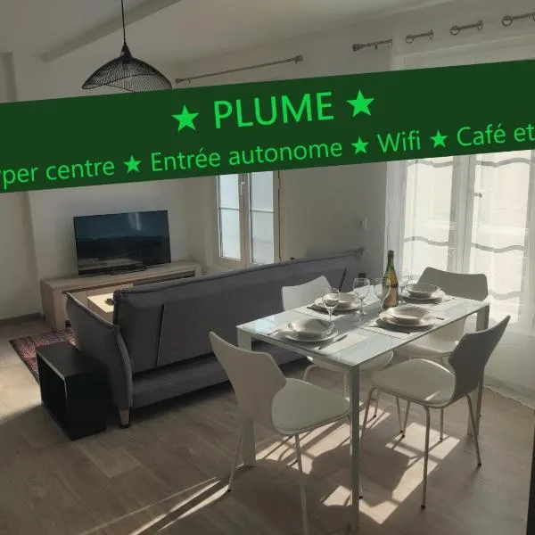 Appartement T3 PLUME Hyper centre d'ERNÉE, готель у місті Saint-Hilaire-du-Maine