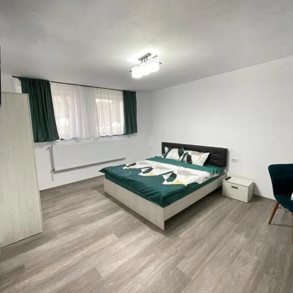 Studio Ali with parking, hotel v destinaci Zărneşti