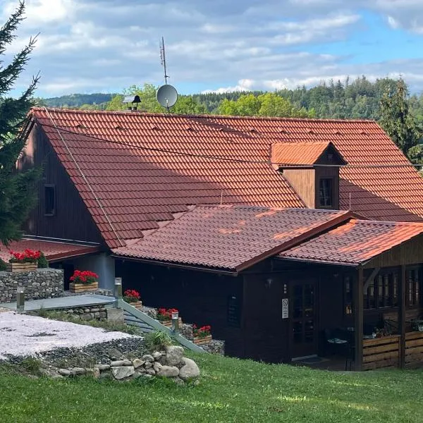 PENZION HARRY na sjezdovce KRKONOŠE, hotel in Příkrý