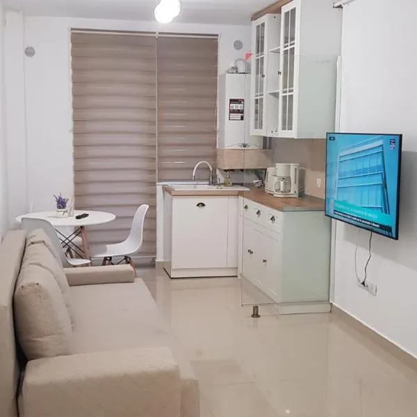 Apartament Vila Brana Sibiu Selimbar str Nicolae Brana Nr 63 Ap 4, hotel in Şelimbăr