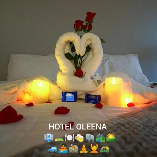 Oleena Home Stay, hotel v destinaci Habarana
