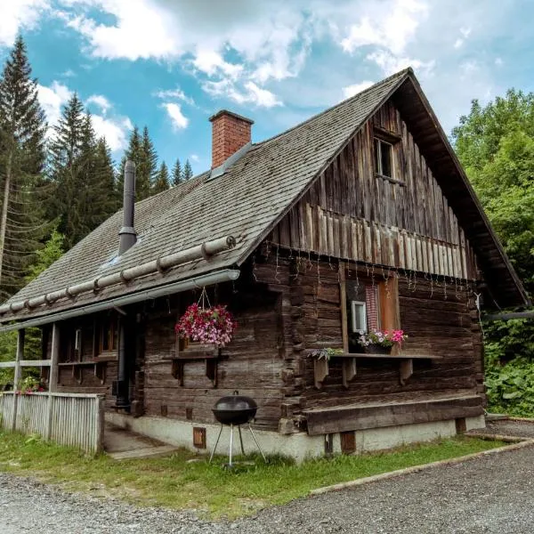 Almhütte Hebalm, хотел в Preitenegg