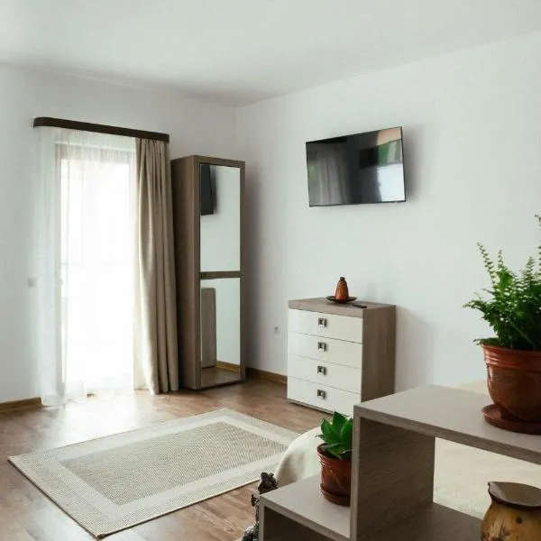 Cozy apartment on the picturesque Niraj Valley, hotelli kohteessa Păsăreni