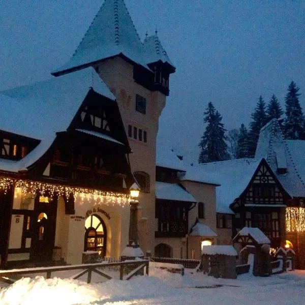 Complex La Tunuri - Vila Economat, hotel in Sinaia