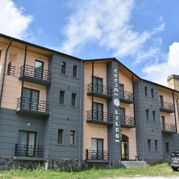 Lileo Inn Hotel, hotel a Mestia