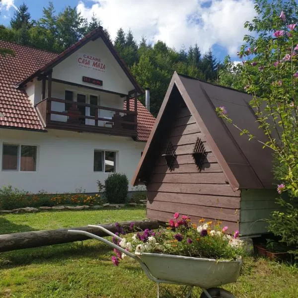 Casa Maia, hotel v destinaci Cîrţişoara