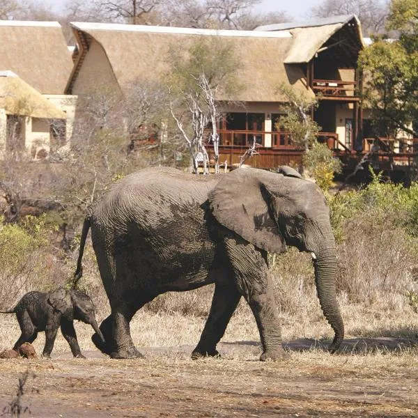 Elephant Plains Game Lodge, hotel v mestu Metsi